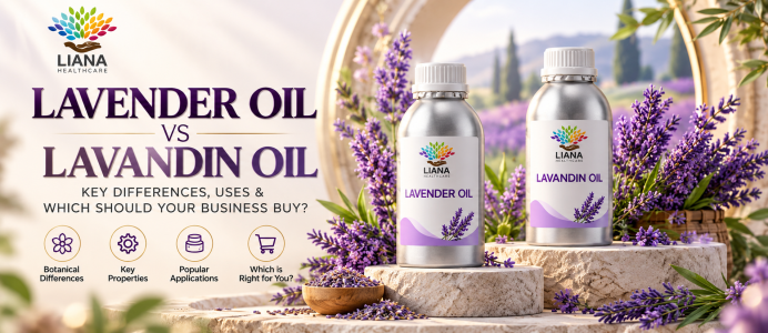 Lavender oil vs Lavindin oil Key Differences & Which Should Your Buisness Buy