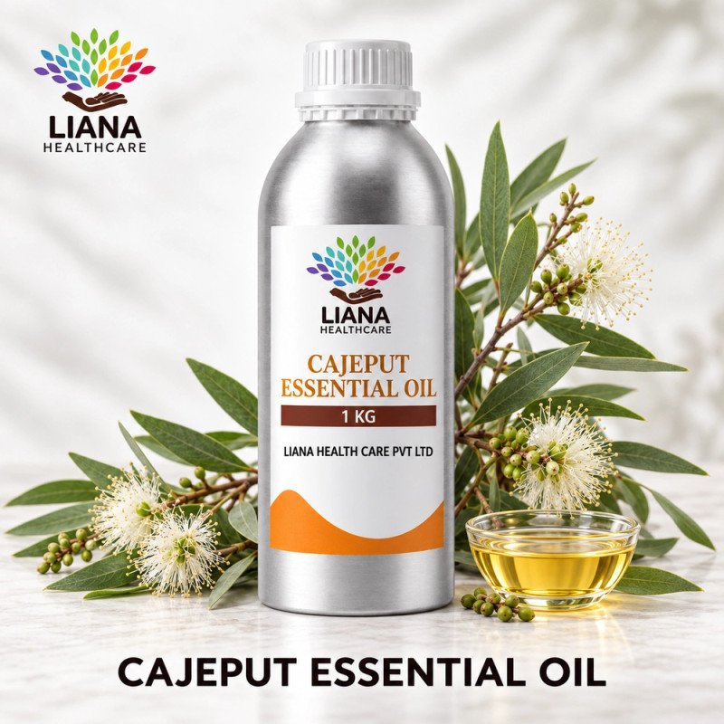 Cajeput Oil Manufacturer, Exporter & Bulk Wholesale Supplier in India – Liana Health Care