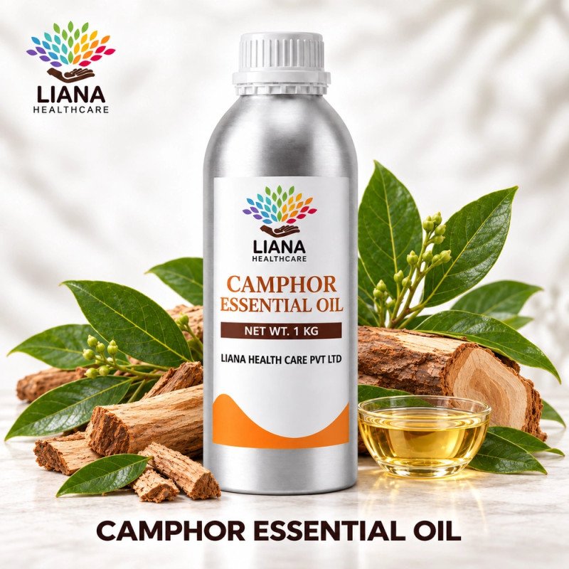 Camphor Oil Manufacturer, Exporter & Bulk Wholesale Supplier in India – Liana Health Care