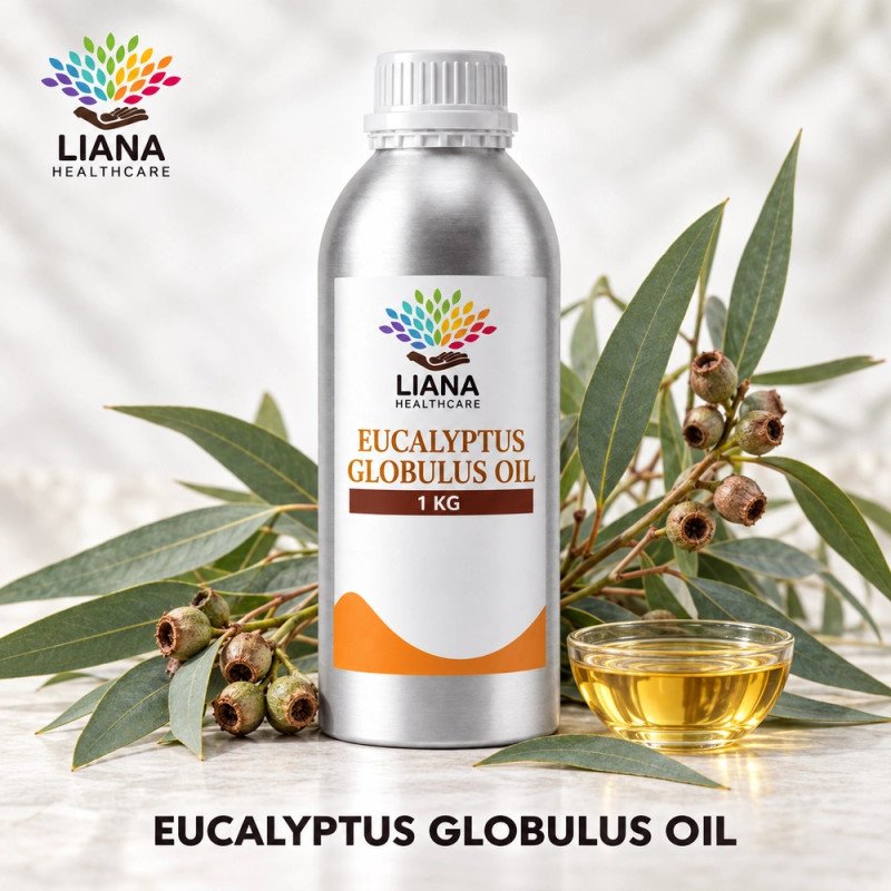 Eucalyptus Globulus Oil Manufacturer, Exporter & Bulk Supplier in India – Liana Health Care