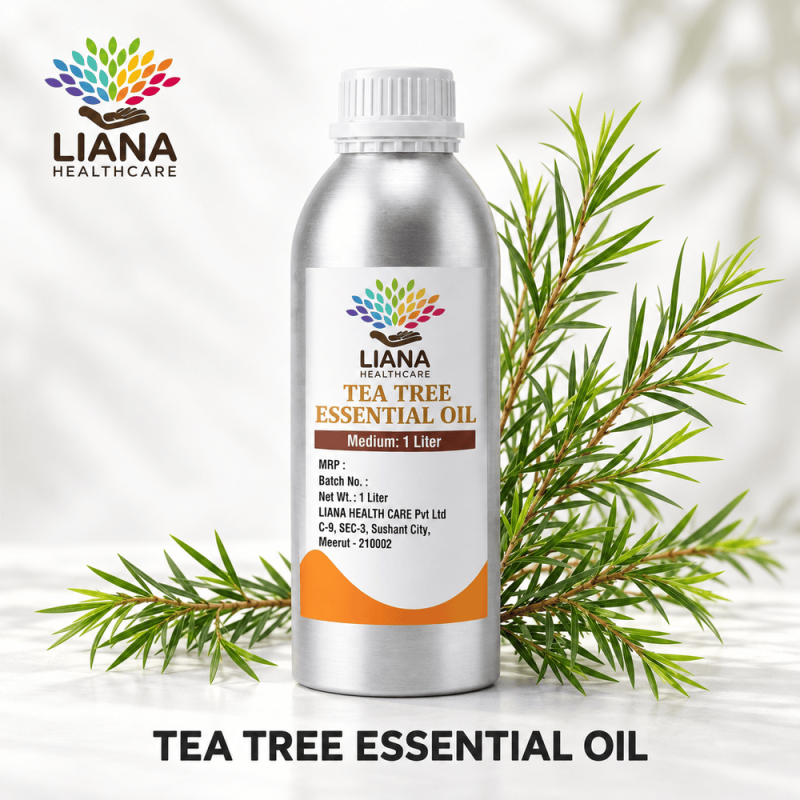 Tea Tree Essential Oil Manufacturer, Exporter & Bulk Wholesale Supplier in India – Liana Health Care