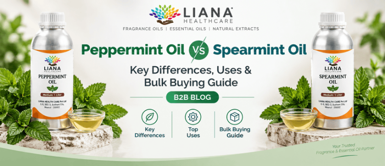 Peppermint Oil vs Spearmint Oil | Key Differences, Uses & Bulk Buying Guide