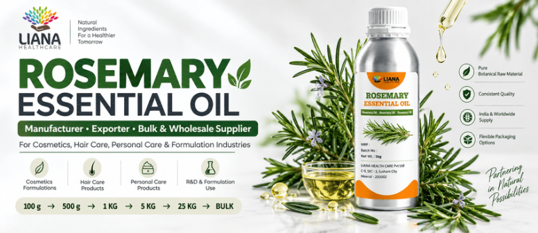 Rosemary Oil: Complete Guide to Benefits, Uses & Buying Guide